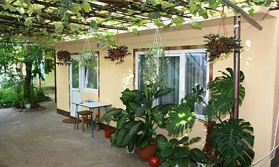 "Зеленый дворик" частный сектор, Алупка Фото: 1 из 52