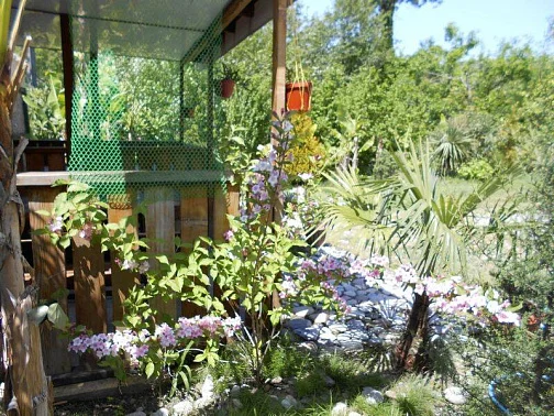 "На Главной" гостевой дом, Якорная щель Фото: 17 из 45