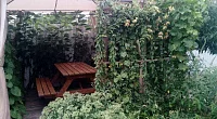 Гостевой дом Таманская 92/а, Благовещенская
