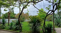 Гостевой дом 12-й проезд Братьев Эзугбая 29, Сухум