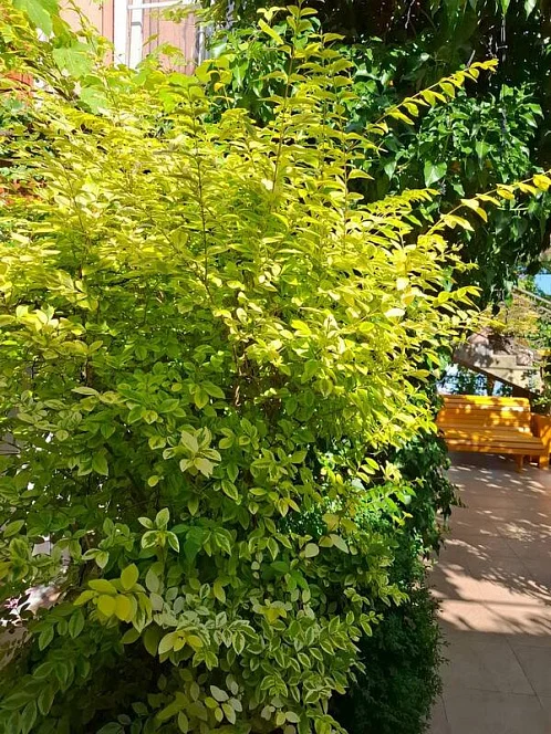 "Солнце" частный сектор, Кабардинка Фото: 18 из 51