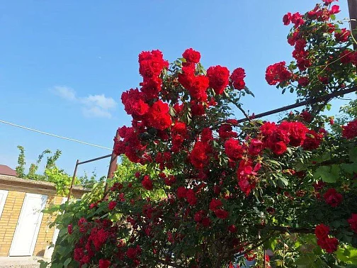 Частный сектор Горная 19, Кабардинка Фото: 7 из 47