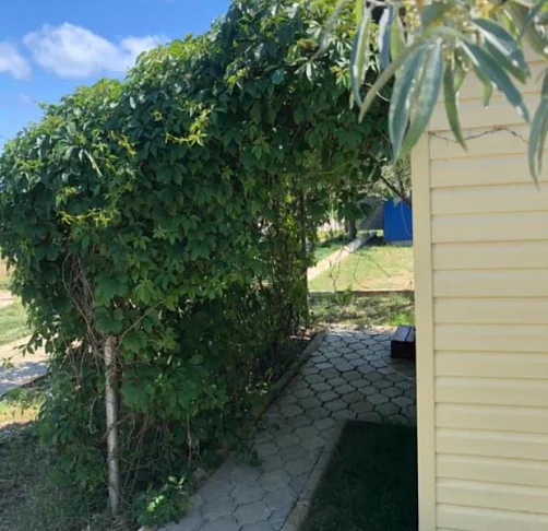 "Оазис" база отдыха, Темрюк Фото: 12 из 28