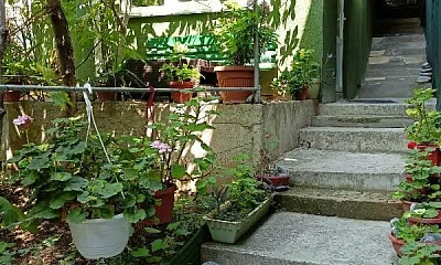 Дом под-ключ Ленинградская 14/ж, Гурзуф Фото: 1 из 16