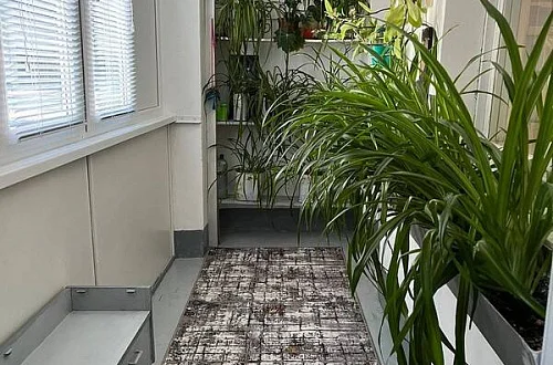 1-комнатная квартира Фото: 5 из 6