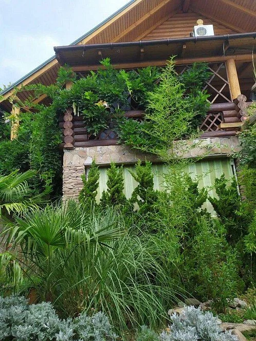 "Добрыня" частный сектор, Партенит Фото: 2 из 49