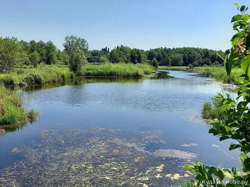 "Приют Рыбака" дом под-ключ, Пицунда Фото: 6 из 22