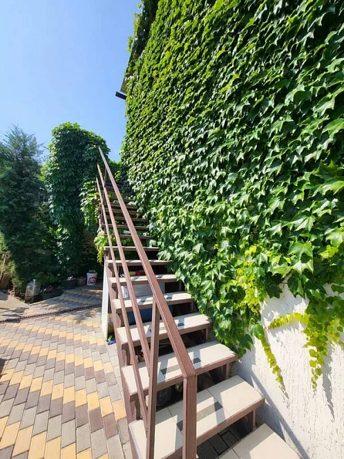 "Людмила" гостевой дом, Ольгинка Фото: 16 из 41