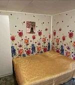 "4х-местный"