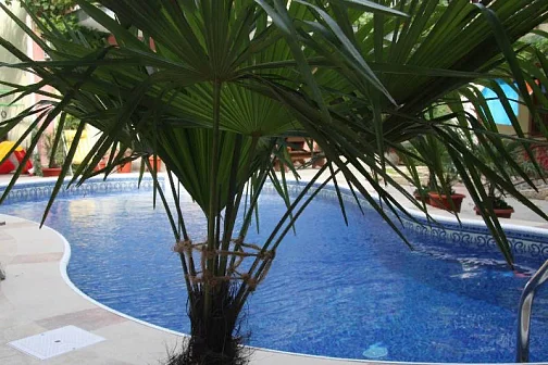 "Ани" гостевой дом, Джемете Фото: 5 из 10