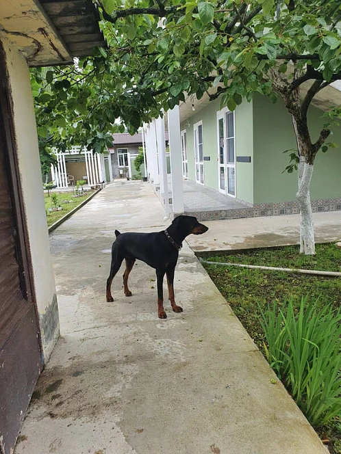 "Феличита" гостевой дом, Сухум Фото: 9 из 25