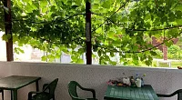 "Кедр" частное домовладение, Солоники