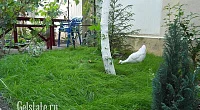 Гостевые комнаты Фурманова 25, Геленджик