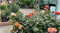 "Фортуна" гостевой дом, Феодосия