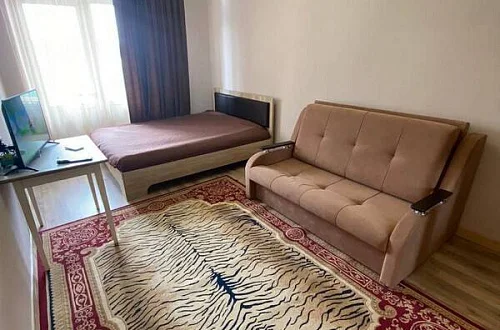 1-комнатная квартира Фото: 3 из 3