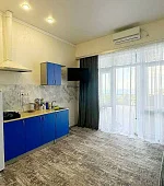 "1-комнатный с террасой"