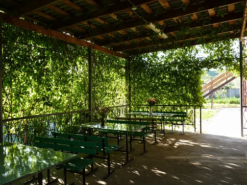 "НАШ КАЗАНТИП" гостевой дом, Новоотрадное Фото: 21 из 51