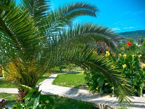 "Мэри" гостиница, Новый Афон Фото: 14 из 51