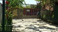 "Маргаритка" гостевой дом, Гагра