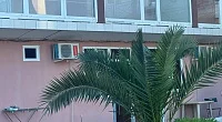 "У друзей" гостевой дом, Цандрипш
