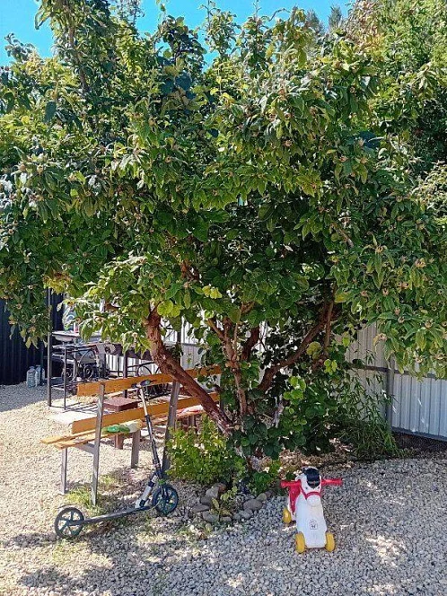 "Уютные домики" частный сектор, Кучугуры Фото: 16 из 49