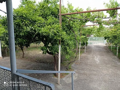 Дом под-ключ Апсны 5, Лдзаа Фото: 3 из 23