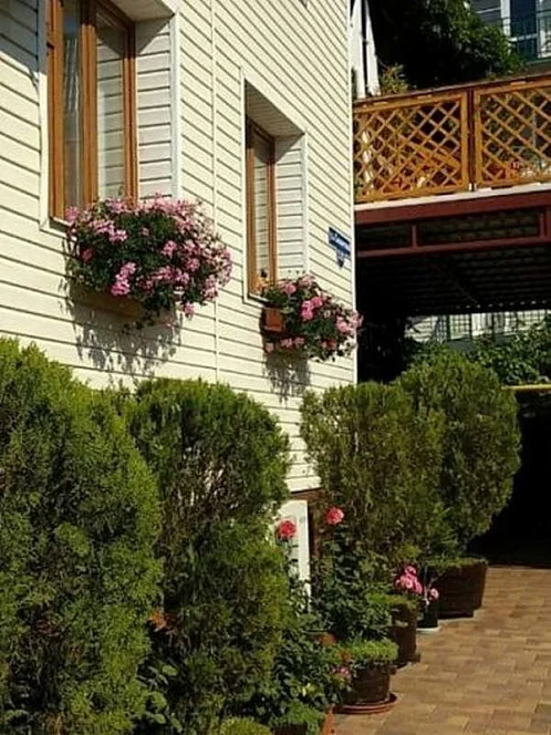 "Солнце Витязево" мини-гостиница, Витязево Фото: 2 из 36