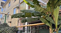 "На Чкалова 30" частный сектор, Адлер