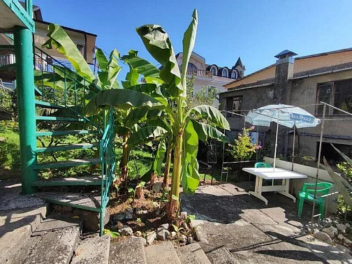 "У Миши" частный сектор, Гагра Фото: 4 из 39