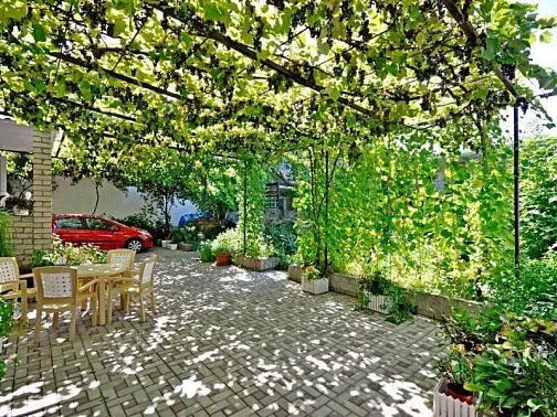 "Зеленый двор" частный сектор, Геленджик Фото: 23 из 51