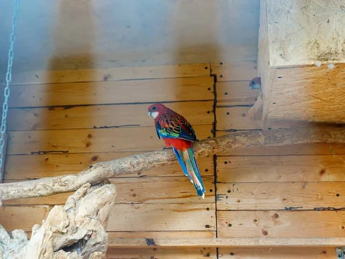 "Рада" гостевой дом, Кабардинка Фото: 15 из 46