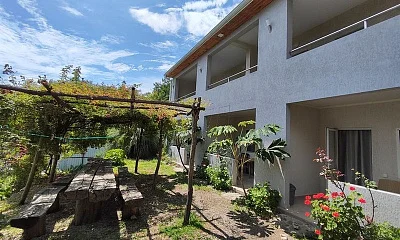 Гостевой дом Монашенское ущелье 5, Пицунда Фото: 1 из 21