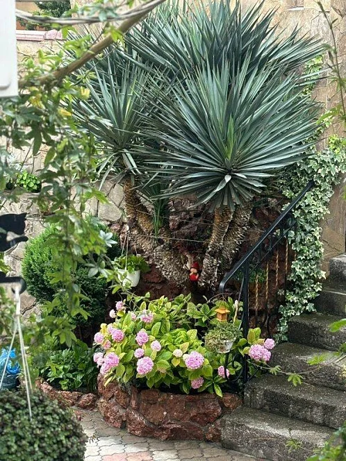 "Инжир" дом под-ключ, Алушта Фото: 4 из 32