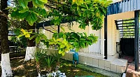 "Платан" гостиница, Лазаревское