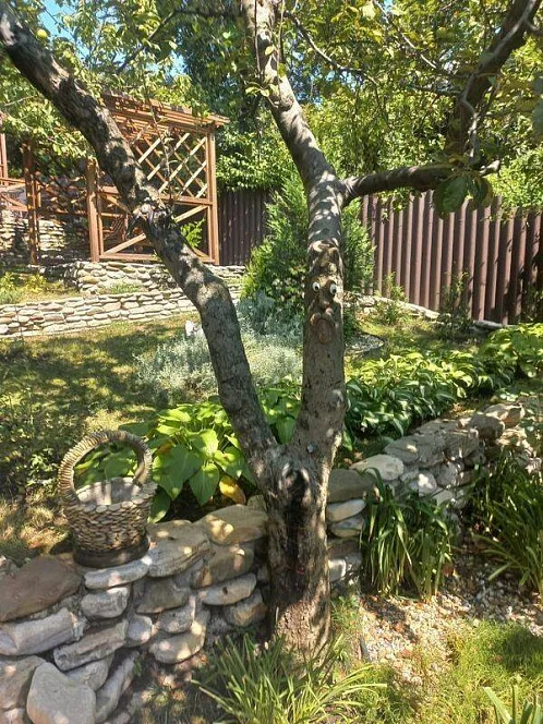 "Большой" дом под-ключ, Шепси Фото: 4 из 51