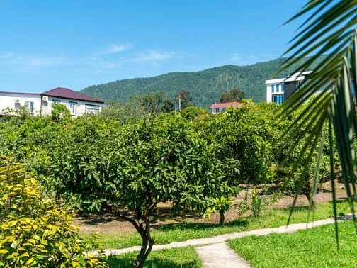 "Мэри" гостиница, Новый Афон Фото: 18 из 51