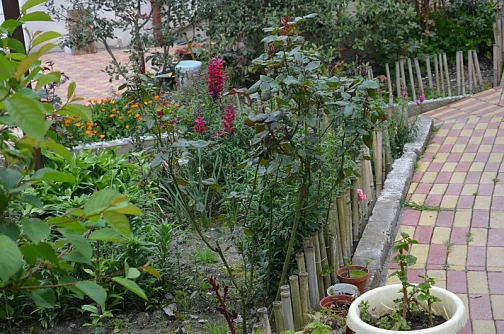 "Цветущий сад" гостевой дом, Сочи Фото: 7 из 29