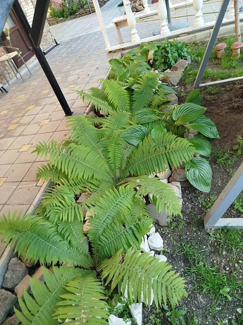 "На Черноморской" дом под-ключ, Веселовка Фото: 5 из 17