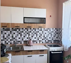 2х-комнатная квартира Площадь Конституции 11 кв 1