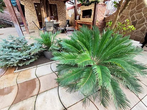 "SOVA" мини-гостиница, Пицунда Фото: 10 из 45