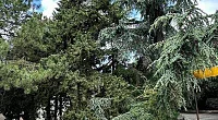 "Крым" база отдыха, Солнечногорское