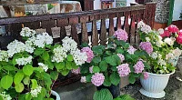 "Дома у Лилии" частное домовладение, Морское