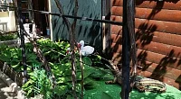 "Дом мечты" гостевой дом, Белосарайская Коса