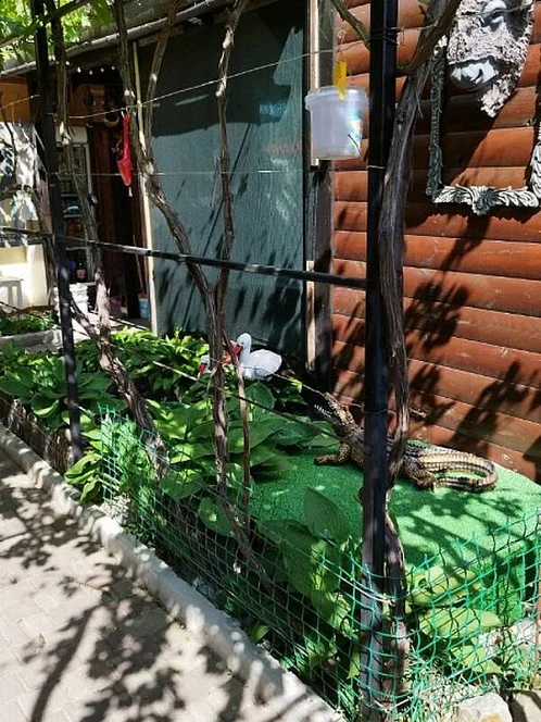"Дом мечты" гостевой дом, Белосарайская Коса Фото: 2 из 14