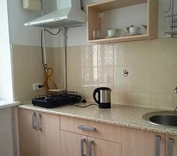 1-комнатная квартира Голицына 36