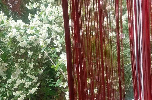 1-комнатная квартира Фото: 8 из 7