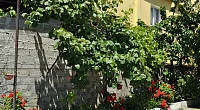 "У Аллы" частный сектор, Адлер