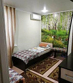 "Эконом №6" 3х-местный