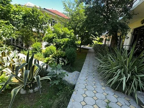 "Дали" гостиница, Гагра Фото: 15 из 47