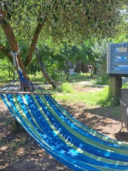 "Мария" база отдыха, Агудзера Фото: 16 из 28
